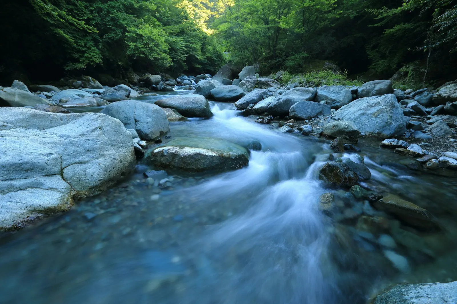 Stream flowing over rocks in a forest